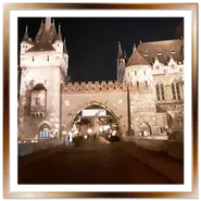 Ingresso e torri medievali del Castello di Vajdahunyad a Budapest illuminato di sera