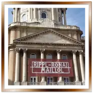 Primo piano dell'ingresso principale e della grande cupola verde della Galleria Nazionale Ungherese nel Palazzo Reale di Buda, con uno striscione rosso sulla mostra di Rippl-Rónai.