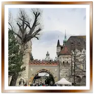 Ingresso fortificato e ponte del Castello di Vajdahunyad a Budapest con persone che entrano nel Parco Cittadino